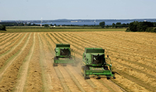 Demand is up and harvests are down: market insights for a time of shortage